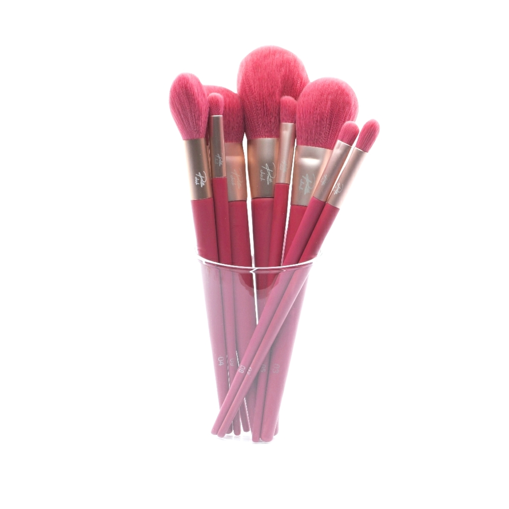 PINK GORGEOUS PRETTIE CHICK MAKEUP BRUSHES NWOT